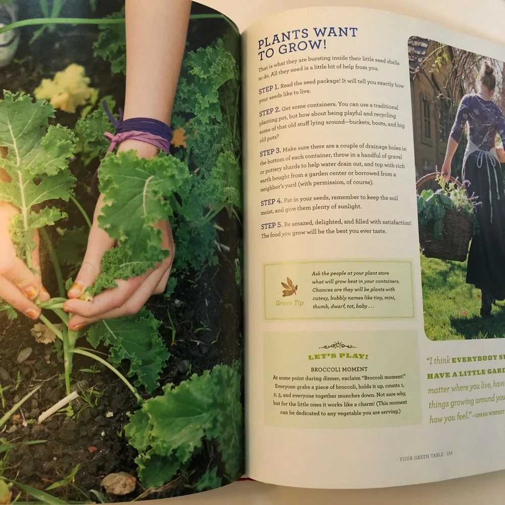 The Family Dinner: Great Ways to Connect w/Your Kids One Meal at a Time Book